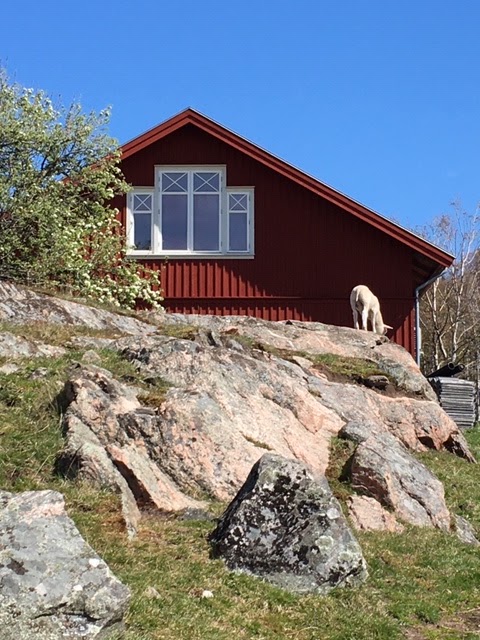 Moriks Fårgård – bild 2