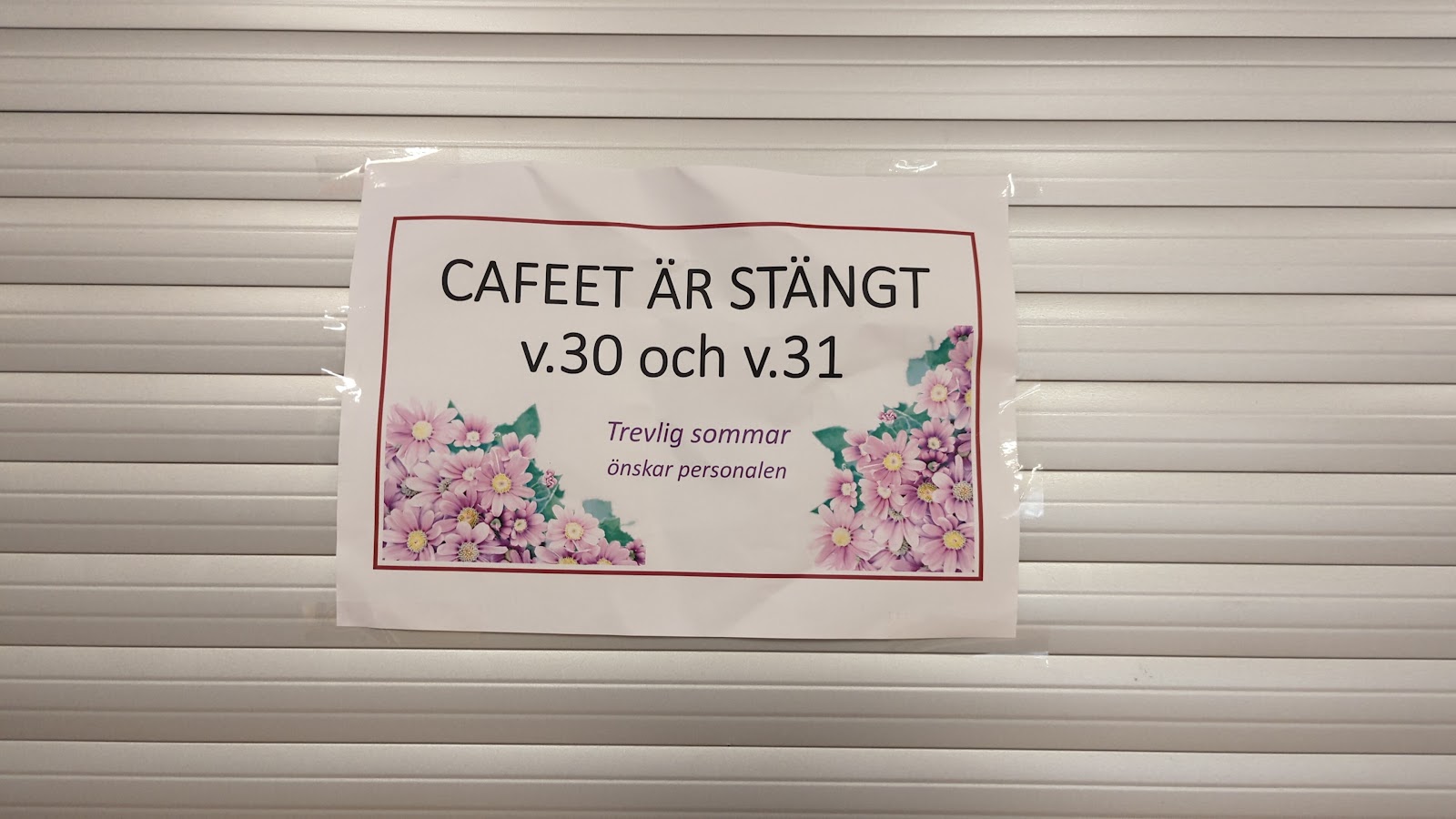 Café Norlander-Strand Catering – bild 1